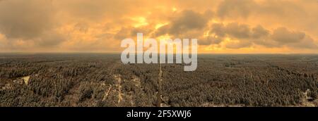 Panoramic coniferous forest in Germany while the sunset is ongoing with wonderful glowing clouds at a wintry evening. Stock Photo