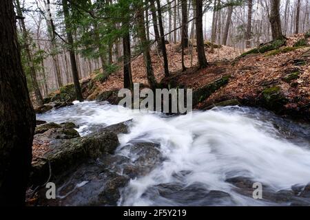 A small stream flows through a Quebec forest in the damp early spring in Gatineau, Quebec, Canada. Stock Photo