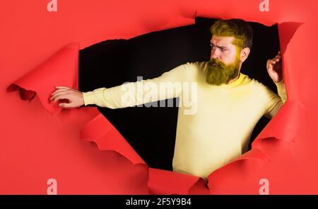 Bearded man with dyed hair and beard. Barber fashion and barbershop concept. Guy with colored hairstyle. Stock Photo