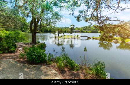 Japanese garden in Buffalo near History Museum and art gallery Stock Photo