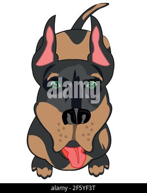 Dog of the sort doberman on white background is insulated Stock Vector