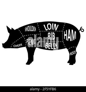 butcher pig on white background. barbecue shop sign. meat cuts sign. American US pork uts diagram. flat style. Stock Photo