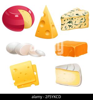 Set of cheese types roquefort, brie and maasdam Stock Vector