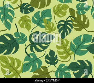 Seamless Pattern Wallpaper of Monstera Leaves for the Tropical Plant Background. Stock Vector