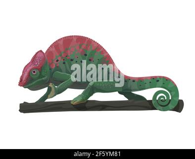 Chameleon lizard animal on tree branch vector design of cartoon reptile with green camouflage skin pattern, black and purple spots, curved tail, legs. Stock Vector