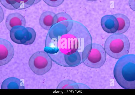 Normal B-cell activated by bacteria 3d illustration Stock Photo