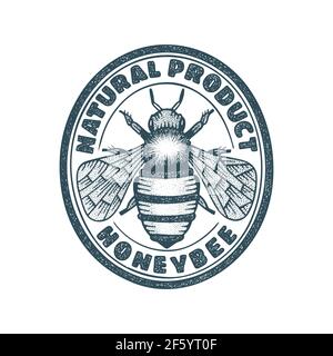 Honey bee. Honey bee hand drawn vintage style illustration and logo template. Engraving style bee drawing. Stock Vector