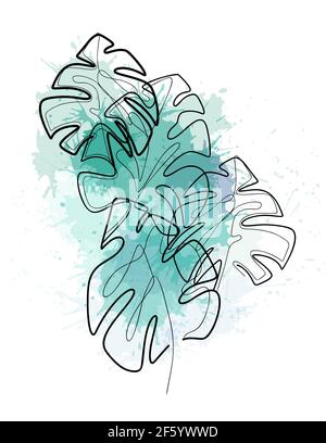 Monoline green vector drawing exotic tropical leaf monstera plant