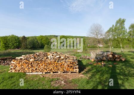Stacked wood in the countryside. Springtime in the country, morning lit and the pile of wood ready to use. Stock Photo