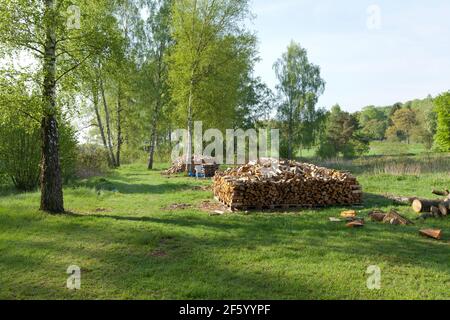 Stacked wood in the countryside. Springtime in the country, morning lit and the pile of wood ready to use. Stock Photo