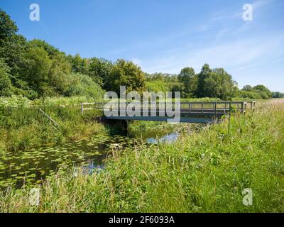 The South Drain drainage ditch at Shapwick Heath National Nature Reserve, part of the Avalon Marshes in the Somerset Levels, England. Stock Photo