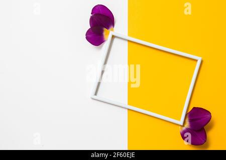 Empty photo frame for text on geometric paper white and yellow colorful background. Stock Photo