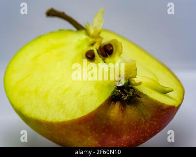 Set of fresh whole and cut apple and slices isolated on white background. Stock Photo