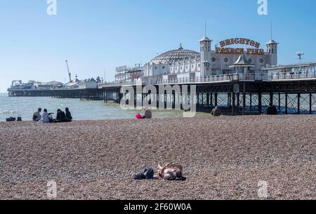 Brighton UK 29th March 2021 - A sunbather enjoys a lovely sunny day on Brighton beach as lockdown restrictions have started to ease in England  Temperatures are expected to reach the mid 20s in some parts of the South East over next few days. : Credit Simon Dack / Alamy Live News