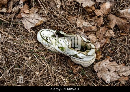 Old torn sneakers in dirty grass Stock Photo