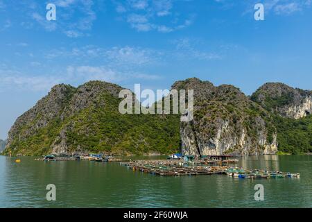 Floating Village and Fisher of the Halong Bay in Vietnam Stock Photo