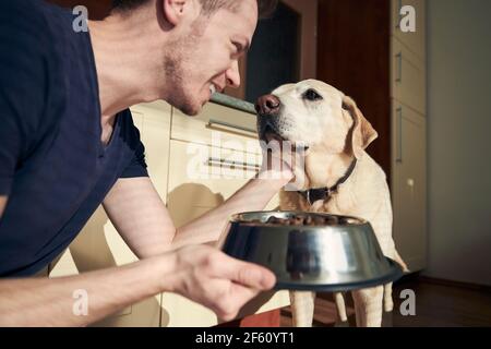 Pet owner feeding of hungry dog. Man stroking his labrador retriever and holding metal bowl with granules at home kitchen.