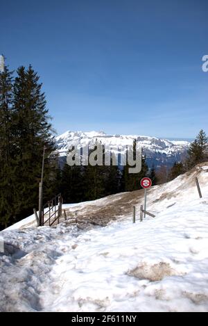 Fascinating winter landscape of mountains with snow and pine trees ...