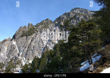 Fascinating winter landscape of mountains with snow and pine trees ...