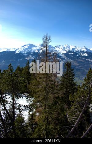 Fascinating winter landscape of mountains with snow and pine trees ...