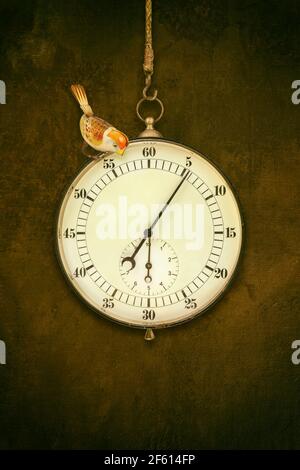 Vintage large stopwatch with little toy bird hanging in front of an old brown wall Stock Photo