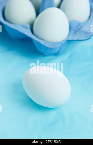 Chicken eggs with natural blue shells in egg box displayed on blue background. UK Stock Photo