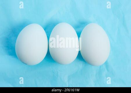 Chicken eggs with natural blue shells displayed on blue background. UK Stock Photo