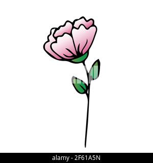 Beautiful flower,Spring twig with leaves, floral vector object in doodle style, flowers hand draw, isolate on a white background Stock Vector