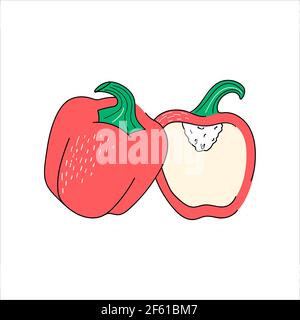 Red bell pepper, set of whole and half Stock Vector