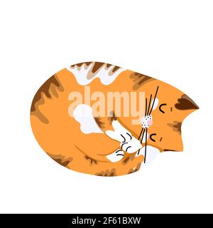 Red cat sleeping with outstretched paws, cute cartoon character, pet, vector object isolated on white background, hand draw. Stock Vector