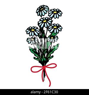 Bouquet of daisies tied with a red ribbon, arrangement of flowers, floral design, vector flowers in the style of hand draw, doodle. Stock Vector