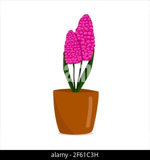 Purple pink hyacinth in a pot, beautiful spring flower in a brown pot, a gift for Womens Day, vector illustration in cartoon style, flat, hand draw. Stock Vector