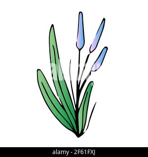 Beautiful flower,Spring twig with leaves, floral vector object in doodle style, flowers hand draw, isolate on a white background Stock Vector