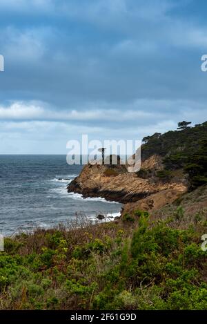 Landscape view of Point Lobos State Park near the Pacific Grove, California, USA, Monterey Peninsula, on a cloudless day with blue sky and ocean, feat Stock Photo