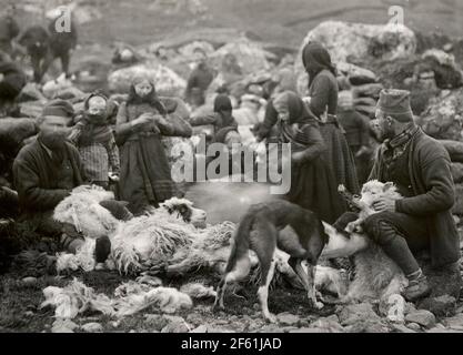 Sheep shearing 19th century hi-res stock photography and images