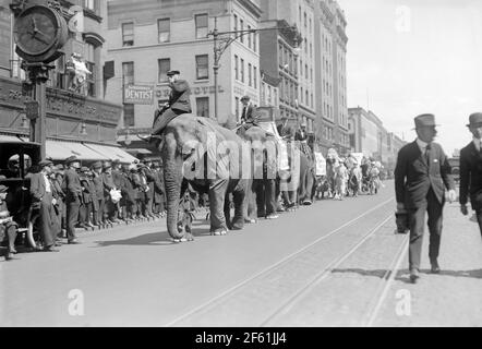 Elephants in Protest March, 1920 Stock Photo