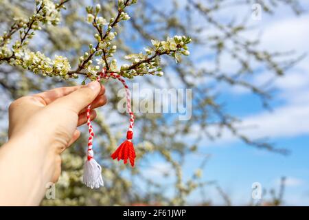 Bulgarian Symbol of Spring Martenitsa Bracelet March 1 Tradition White and  Red Cord Martisor and the First Blossoming Tree To Stock Image  Image of  moldova cherry 214645795