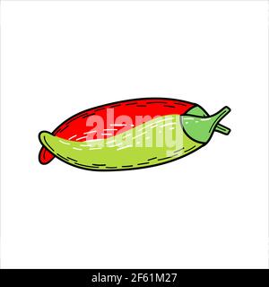 Chilies, a hand drawn vector illustration  Stock Vector