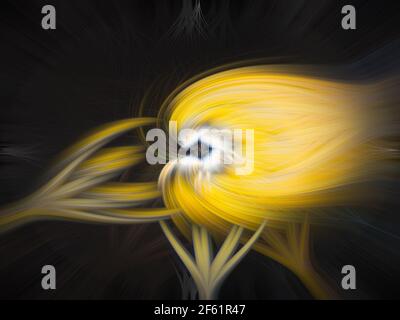 Abstract twirl effect of landscape Stock Photo