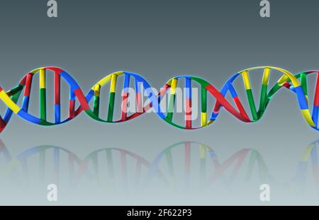 DNA, Ribbon Model Stock Photo - Alamy