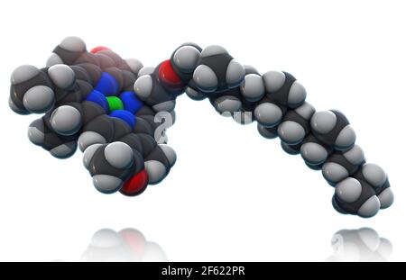 Chlorophyll, Molecular Model Stock Photo