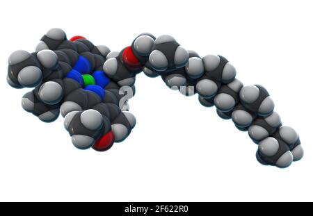 Chlorophyll, Molecular Model Stock Photo