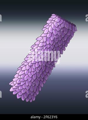 Virus Shape, Polyhedral, Illustration Stock Photo