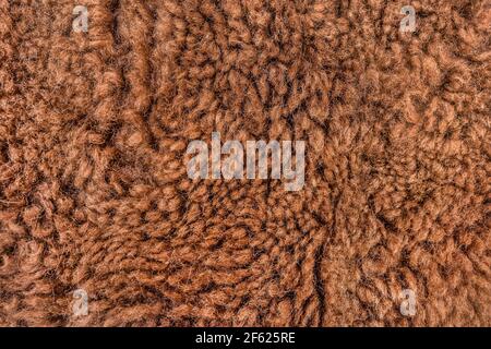 Brown fur texture, natural animal wool background. Stock Photo