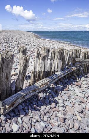 An old wooden groyne (breakwater) on the pebble beach beside the harbour on the edge of Exmoor at Porlock Weir, Somerset UK Stock Photo