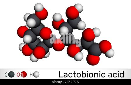 Lactobionic acid, lactobionate  molecule. It is a disaccharide, sugar acid, food additive E399. Molecular model. 3D rendering. 3D illustration Stock Photo