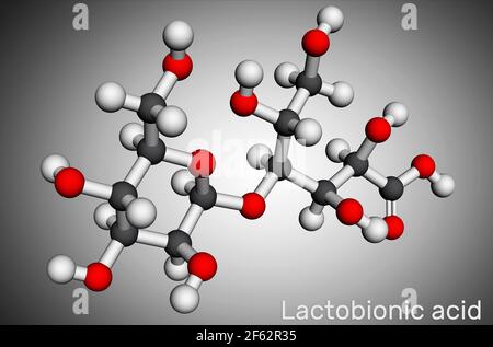 Lactobionic acid, lactobionate  molecule. It is a disaccharide, sugar acid, food additive E399. Molecular model. 3D rendering. 3D illustration Stock Photo