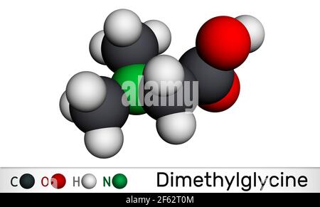 Dimethylglycine, DMG, N,N-dimethylglycine molecule. It is derivative of the amino acid glycine. Molecular model. 3D rendering. 3D illustration Stock Photo