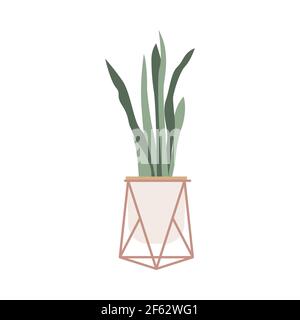 Herb with long leaves in modern geometric flower pot Flat design Stock Vector