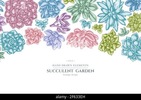 Floral design with pastel succulent echeveria, succulent echeveria, succulent Stock Vector
